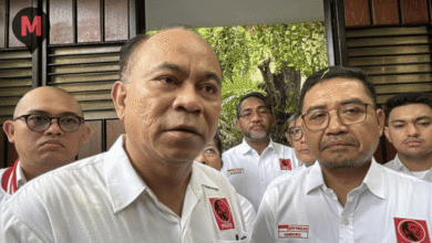 Budi Arie